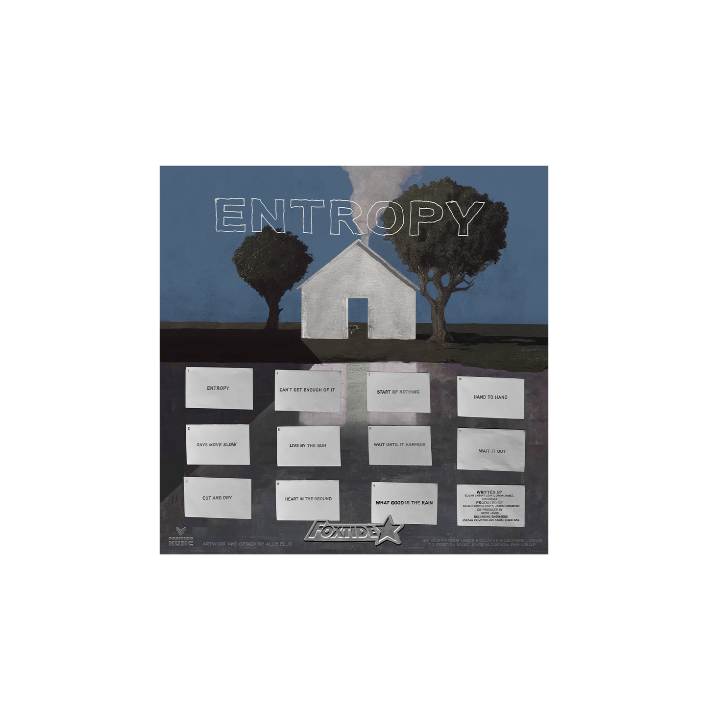 Entropy Vinyl